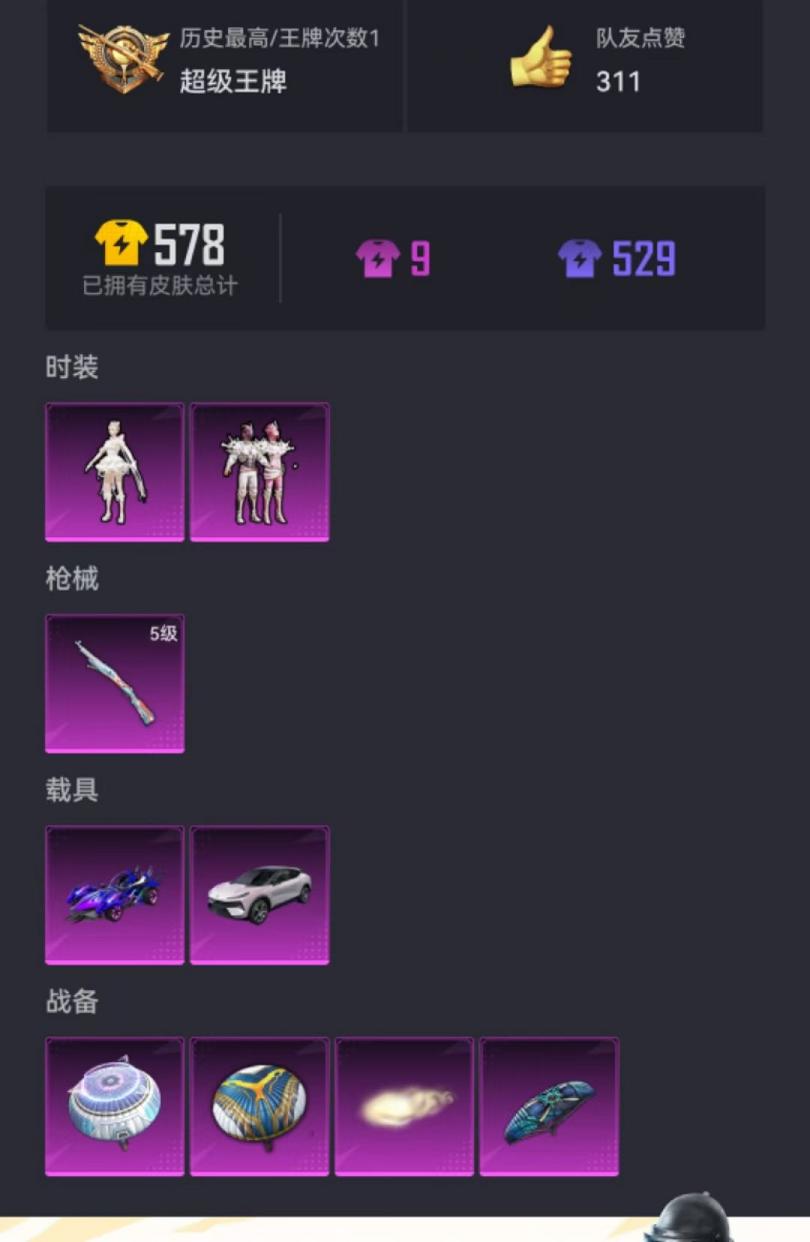 可二次【连体号2载具2粉装1特效枪送王者104皮肤】 安卓Q区-49224热力值-1印记-119套装-168枪皮 【2载具】 海龙奔腾 路特斯EL花绽灰【2粉装】 海渊国主 角色-千金淑猫【1特效枪