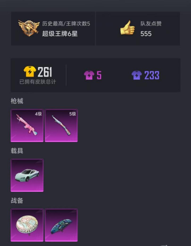 可二次【1载具2特效枪】 安卓V区-24621热力值-5印记-55套装-77枪皮 【1载具】 特斯拉R水滴蓝【2特效枪】 Mk14-樱桃泡泡(4级) Kar98K-巳巳如意(5级)【22热门】 团圆