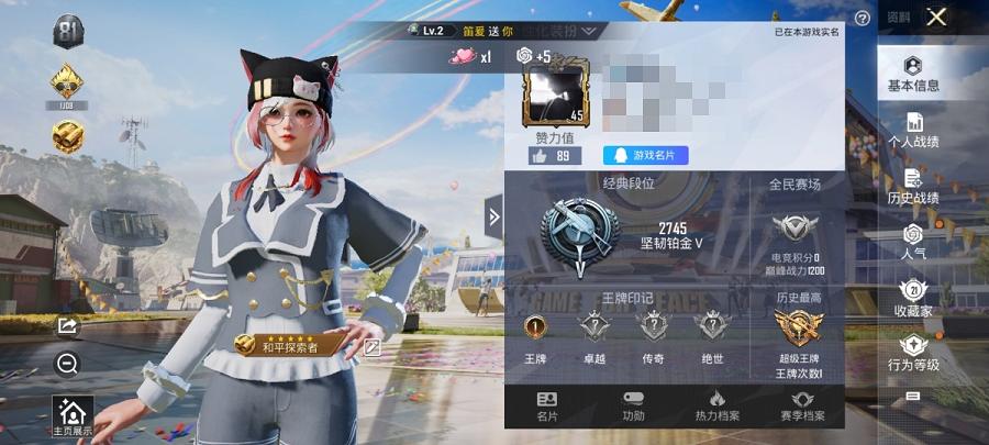 可二次【连体号1粉装1特效枪送王者2传说】 安卓Q区-15346热力值-1印记-29套装-63枪皮 【1粉装】 岚岚物语【1特效枪】 Kar98K-巳巳如意(4级)【20热门】 SS24特训 SS2