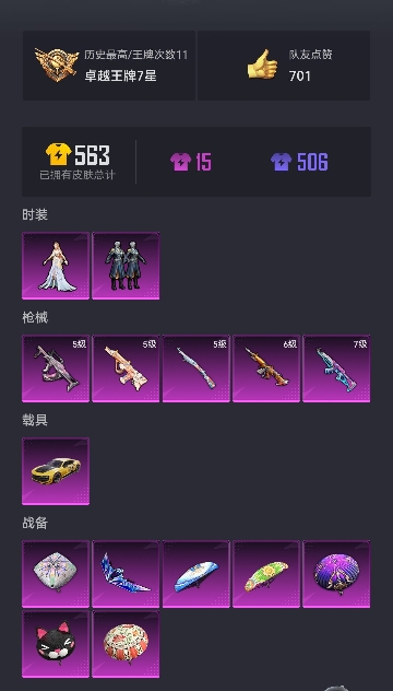 可二次【连体号金鞋6级至情至圣5特效枪1载具2粉装送王者10传说198皮肤至尊宝】 安卓Q区-51069热力值-11印记-119套装-166枪皮 【1载具】 永恒黄蜂【2稀有】 派对舞王 派对舞王（
