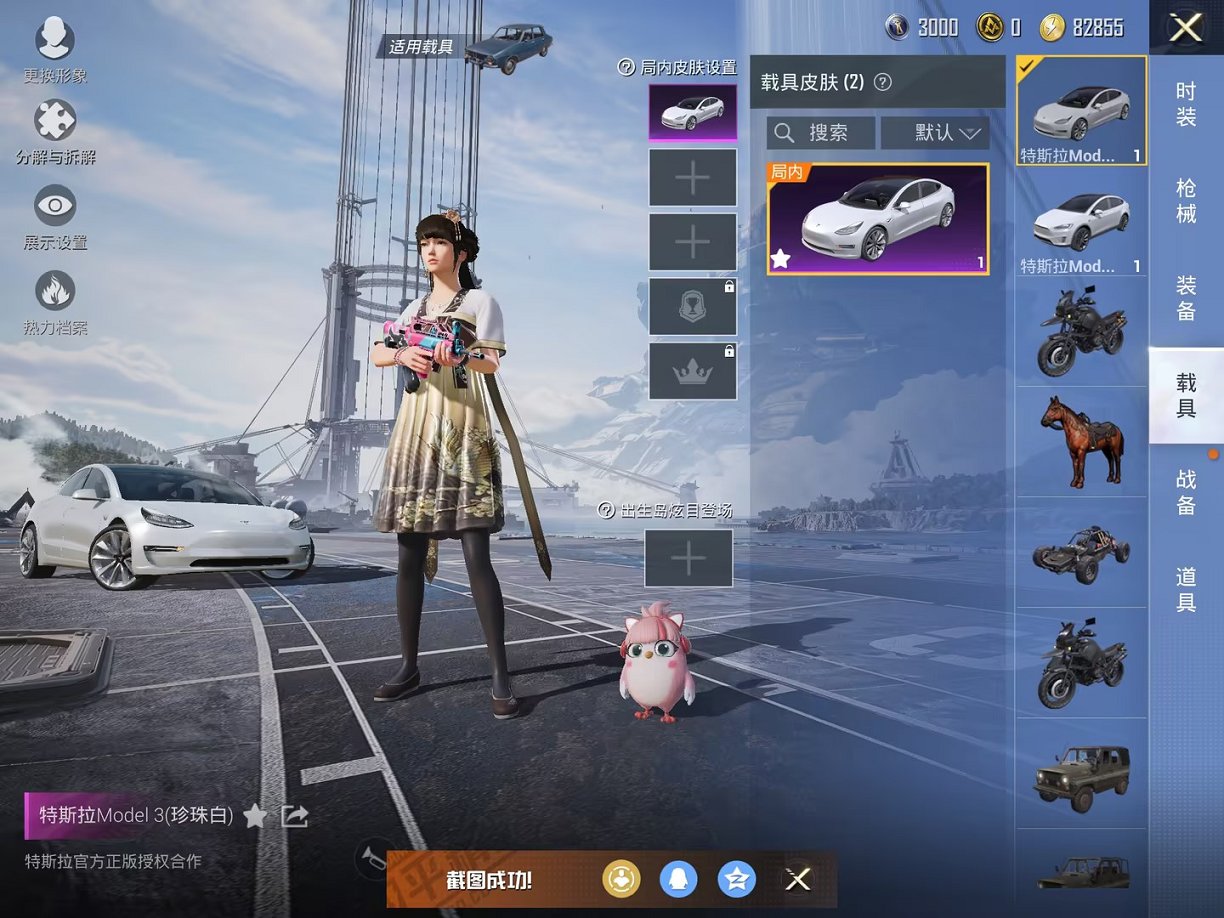 可二次【猪脸妹11粉装2特效枪2载具】 苹果Q区-77663热力值-7印记-206套装-207枪皮 【2载具】 特斯拉3白色 特斯拉X白色【11粉装】 缤纷油彩（猪脸妹） 快乐主宰 金属狂野 橘柚倾