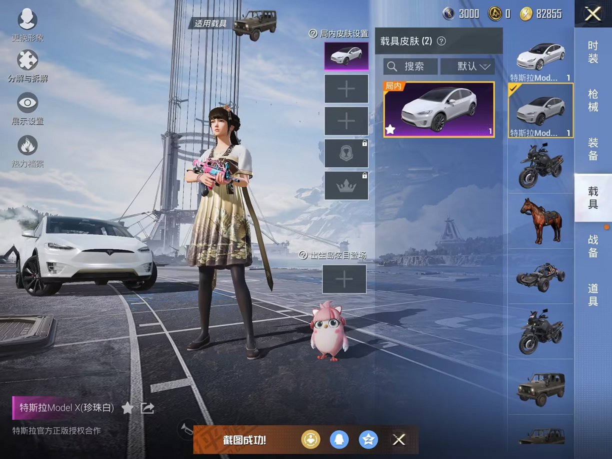 可二次【猪脸妹11粉装2特效枪2载具】 苹果Q区-77663热力值-7印记-206套装-207枪皮 【2载具】 特斯拉3白色 特斯拉X白色【11粉装】 缤纷油彩（猪脸妹） 快乐主宰 金属狂野 橘柚倾