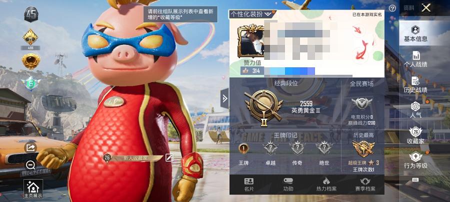 可二次【2特效枪1粉装】 安卓Q区-17289热力值-1印记-43套装-60枪皮 【1粉装】 玩偶服-猪猪侠【2特效枪】 M249-猪猪侠(5级) Kar98K-巳巳如意(5级)【21热门】 破蛋小