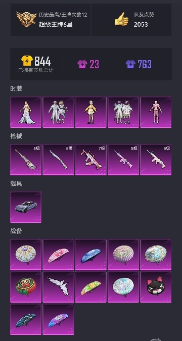 可二次【5粉装5特效枪1载具】 苹果Q区-68411热力值-12印记-180套装-228枪皮 【1载具】 仰望U7先锋版(阿盖尔紫)【1稀有】 AKM-百万伏特【5粉装】 山涧鹿灵 彩虹鹿灵 呆萌星