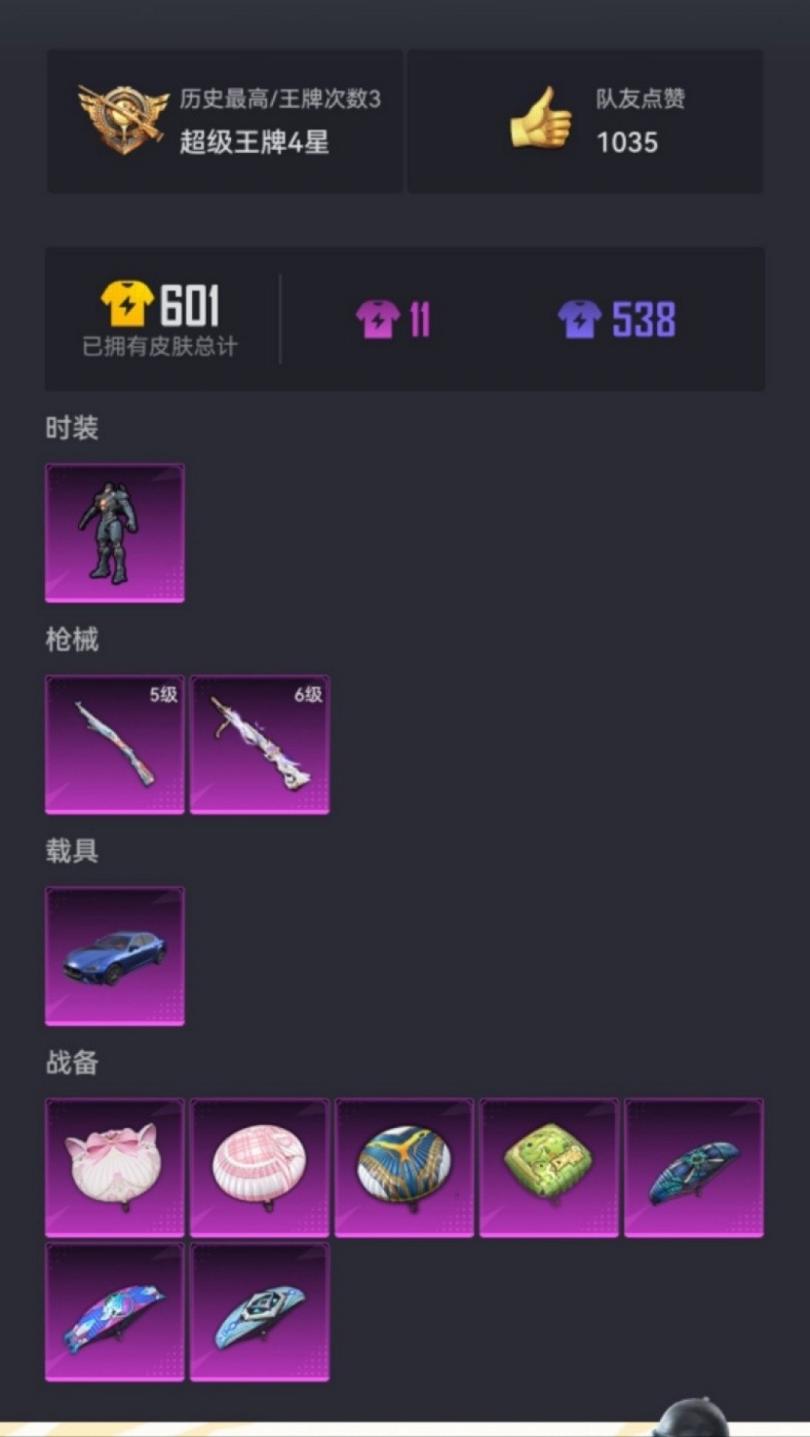 可二次【连体号1粉装2特效枪1载具送王者242皮肤2典藏4传说】 安卓Q区-51513热力值-3印记-143套装-175枪皮 【1载具】 玛莎拉蒂蓝色【1稀有】 AKM-百万伏特【1粉装】 复仇流浪