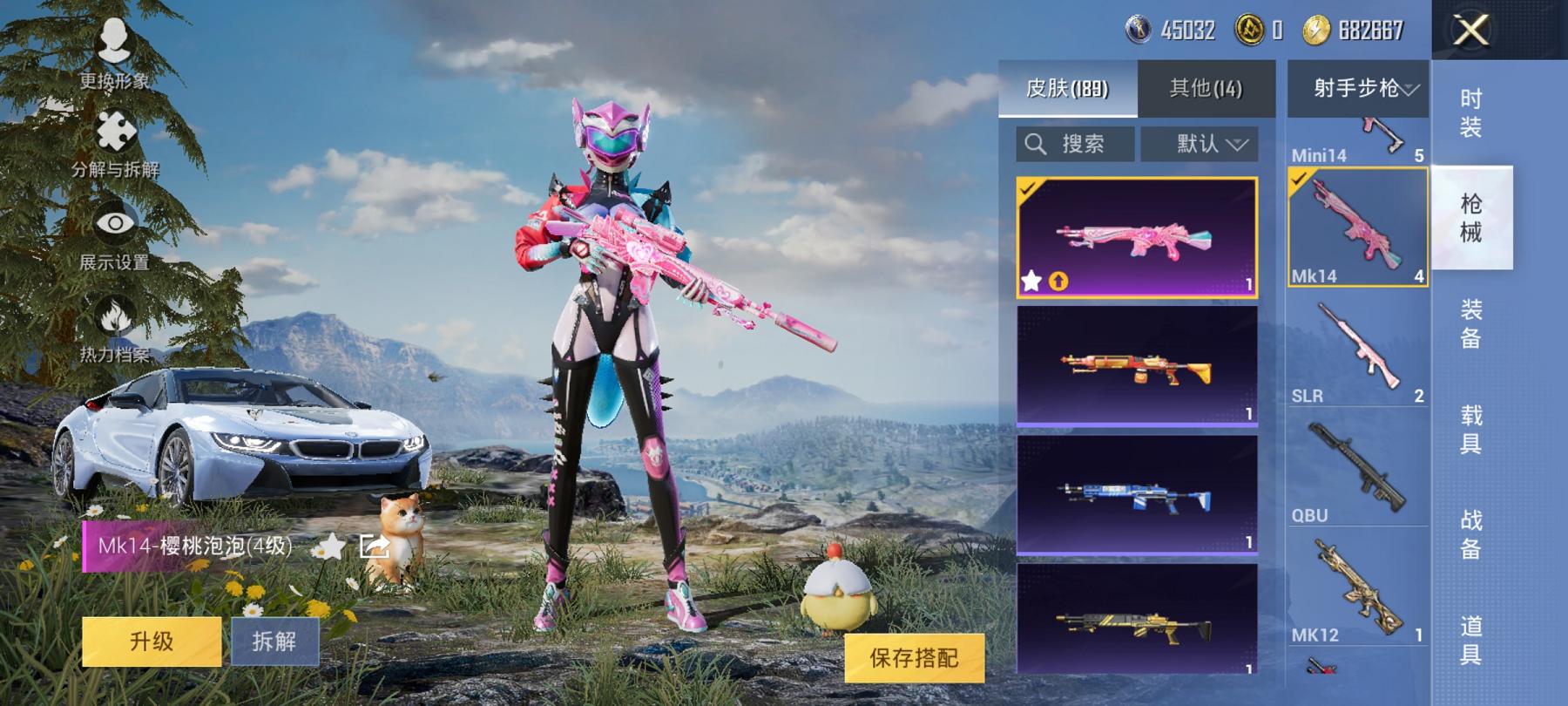 【女号猪脸妹满级心之恋语13粉装7特效枪2载具】 安卓Q区-65214热力值-14印记-165套装-189枪皮 【2载具】 护世瑞兽 宝马i8(离子银)【1稀有】 SCAR-L-粉色回忆【13粉装】