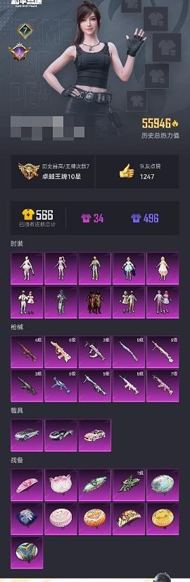 【女号洛天依10粉装10特效枪3载具】 安卓Q区-55946热力值-7印记-102套装-155枪皮 【3载具】 羁绊之心 时空跃影(星辉银) 星河领航(磐石银)【1稀有】 Mark.06蓝螳螂【10