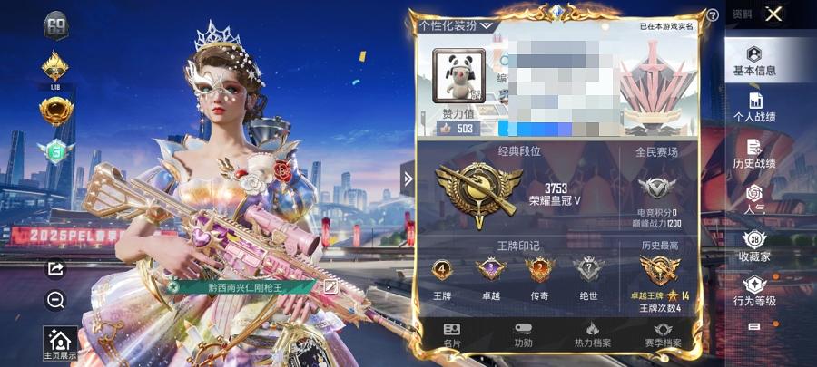 可二次【心之恋语6特效枪2粉装】 安卓Q区-20941热力值-4印记-39套装-73枪皮 【2粉装】 金属狂野 星穹咏叹调【6特效枪】 M416-心之恋语(5级) 12-雪月幻音(1级) AMR-智
