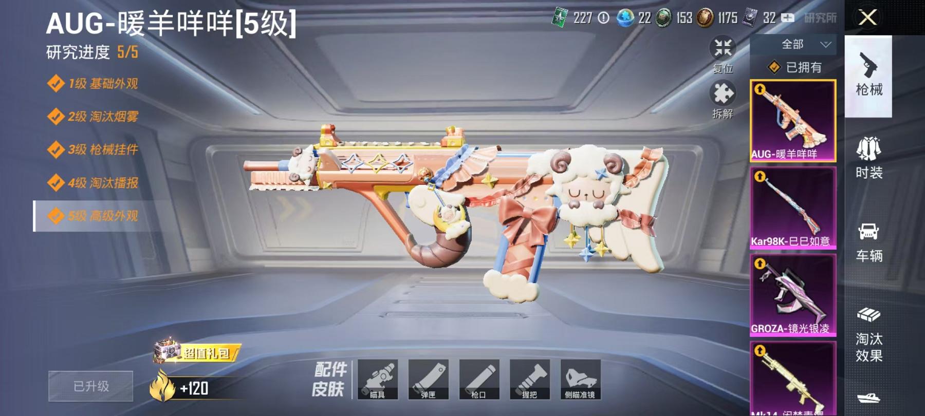【满级AUG超新星6特效枪4粉装】 安卓Q区-40024热力值-9印记-89套装-138枪皮 【4粉装】 猩猩队长 炙焰红王 飒粉甜心 角色-智耀战神【6特效枪】 Mk14-闲梦青缨(7级) AUG