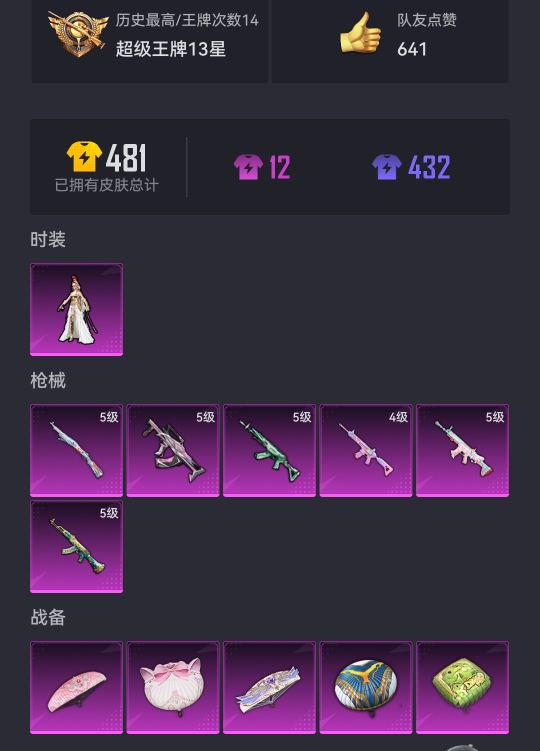 可二次【6特效枪1粉装】 苹果Q区-40401热力值-14印记-127套装-131枪皮 【1粉装】 角色-萨利娅【6特效枪】 SCAR-L-锦绣绵绵(5级) AKM-绿萝繁花(5级) M762-青锋
