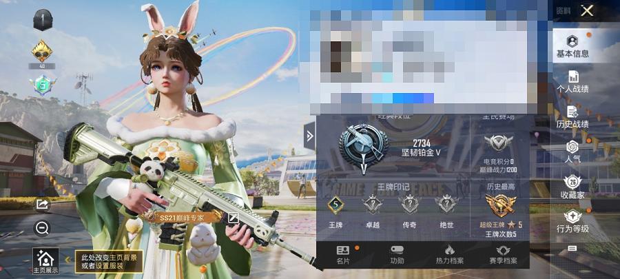 【1粉装1特效枪】 安卓Q区-21333热力值-5印记-48套装-87枪皮 【1粉装】 闲梦青缨【1特效枪】 Kar98K-巳巳如意(5级)【25热门】 SS27特训 SS25特训 SS24特训 S
