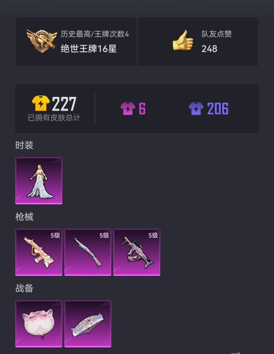 可二次【星河浪客3特效枪1粉装】 安卓Q区-16493热力值-4印记-41套装-59枪皮 【1稀有】 星河浪客【1粉装】 角色-智耀战神【3特效枪】 Kar98K-巳巳如意(5级) AUG-暖羊咩咩
