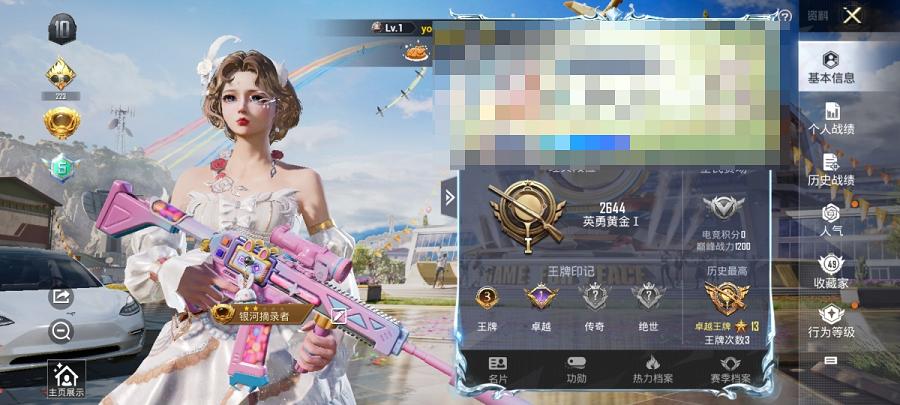 可二次【4特效枪1载具1粉装】 安卓Q区-40275热力值-3印记-139套装-133枪皮 【1载具】 特斯拉3白色【1粉装】 角色-星空武士【4特效枪】 Kar98K-巳巳如意(5级) M416-