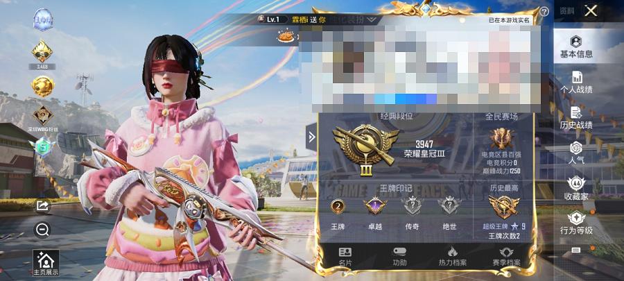 【5粉装4特效枪】 安卓Q区-27563热力值-2印记-55套装-86枪皮 【5粉装】 角色-月下星之子 雪月幻音 角色-智耀战神 幻彩电音 角色-千金淑猫【4特效枪】 Kar98K-圣域龙灵(3级