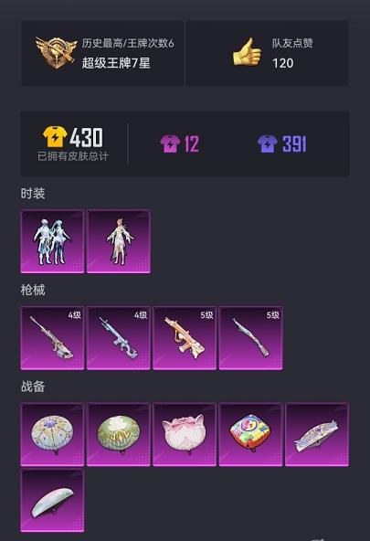 可二次【4特效枪2粉装】 安卓Q区-30898热力值-6印记-80套装-114枪皮 【2粉装】 角色-月影灵韵 幻彩电音【4特效枪】 12-雪月幻音(4级) AMR-智耀战神(4级) Kar98K-