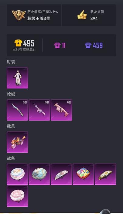 HPCMW3294148和平精英账号详情图18 HPCMW3294148和平精英账号详情图18