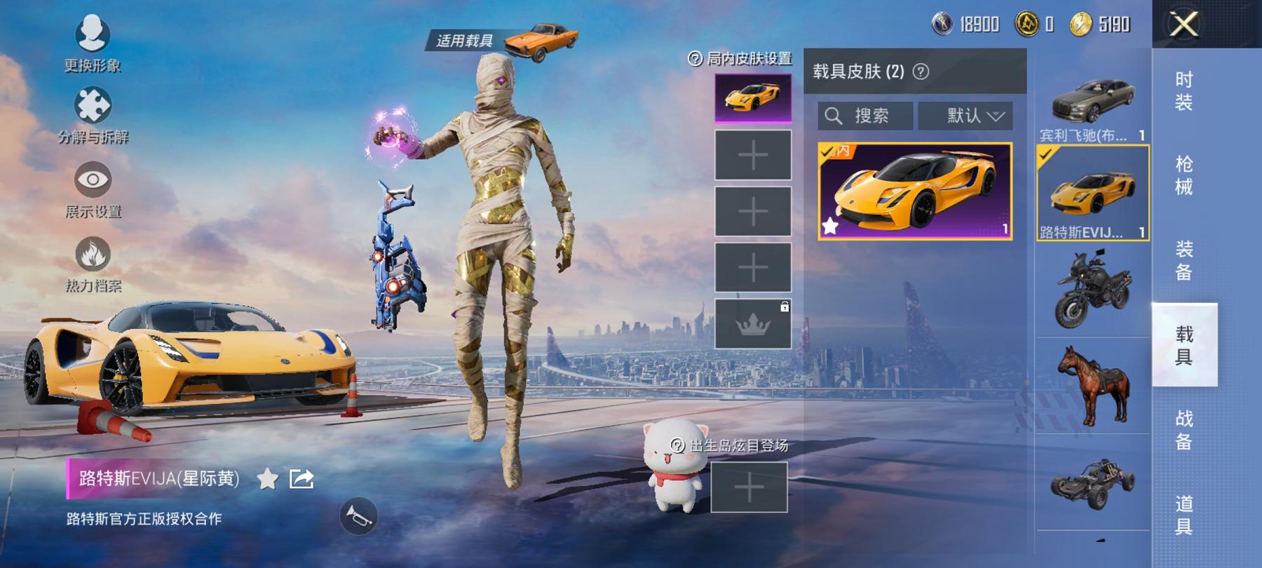 HPCMW3305102和平精英账号详情图18 HPCMW3305102和平精英账号详情图18