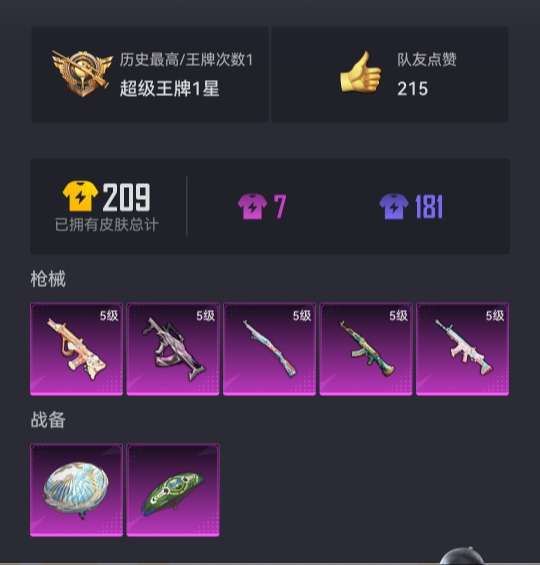HPCMW3294233和平精英账号详情图14
