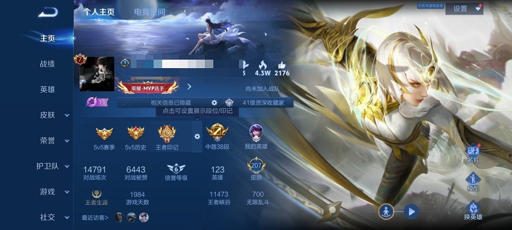 王者荣耀账号安卓QQ123英雄-207皮肤-【207皮肤1无双9传说1金标神威】安卓Q-123英雄【1无双】器灵·螭龙剑