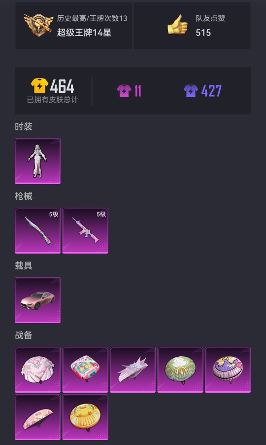 HPCMW3294266和平精英账号详情图16 HPCMW3294266和平精英账号详情图16