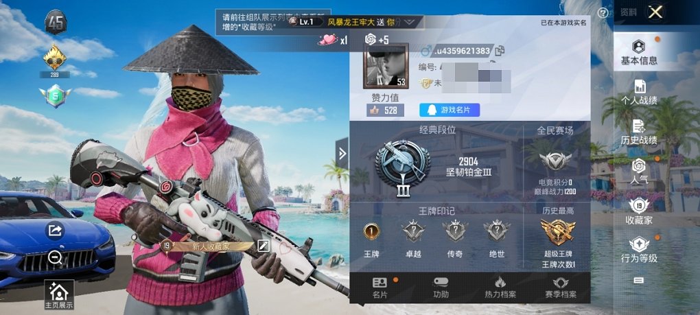 HPCMW3294297和平精英账号详情图6