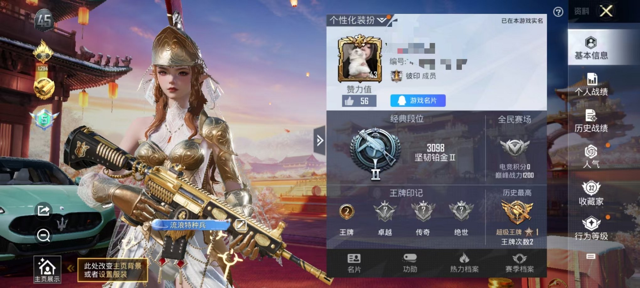 HPCMW3309595和平精英账号详情图4