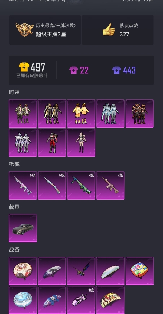 HPCMW3294721和平精英账号详情图17 HPCMW3294721和平精英账号详情图17