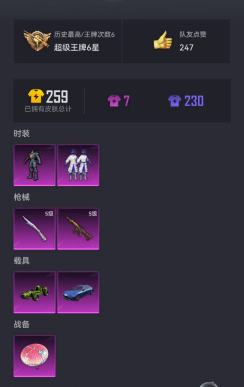 HPCMW3304491和平精英账号详情图15 HPCMW3304491和平精英账号详情图15