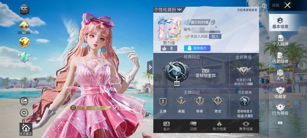 HPCMW3294770和平精英账号详情图10