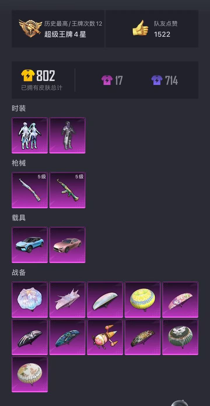 HPCMW3310524和平精英账号详情图13