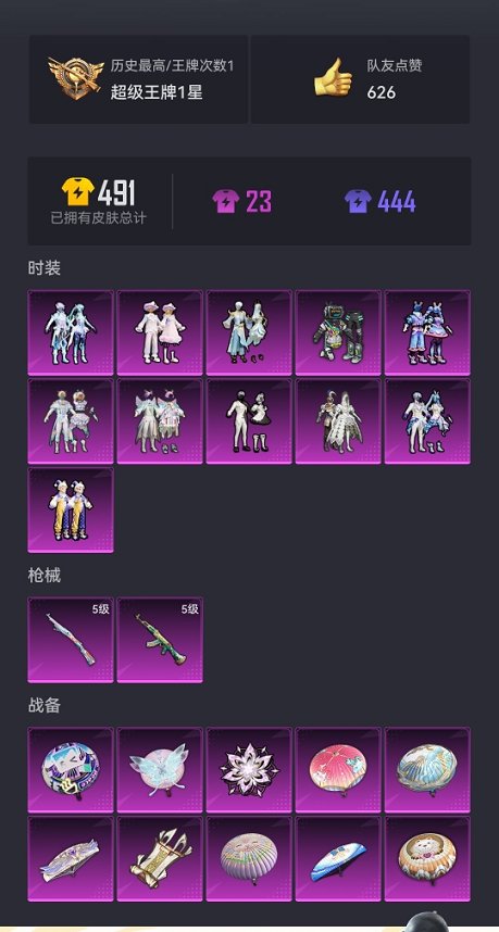 HPCMW3294853和平精英账号详情图17 HPCMW3294853和平精英账号详情图17