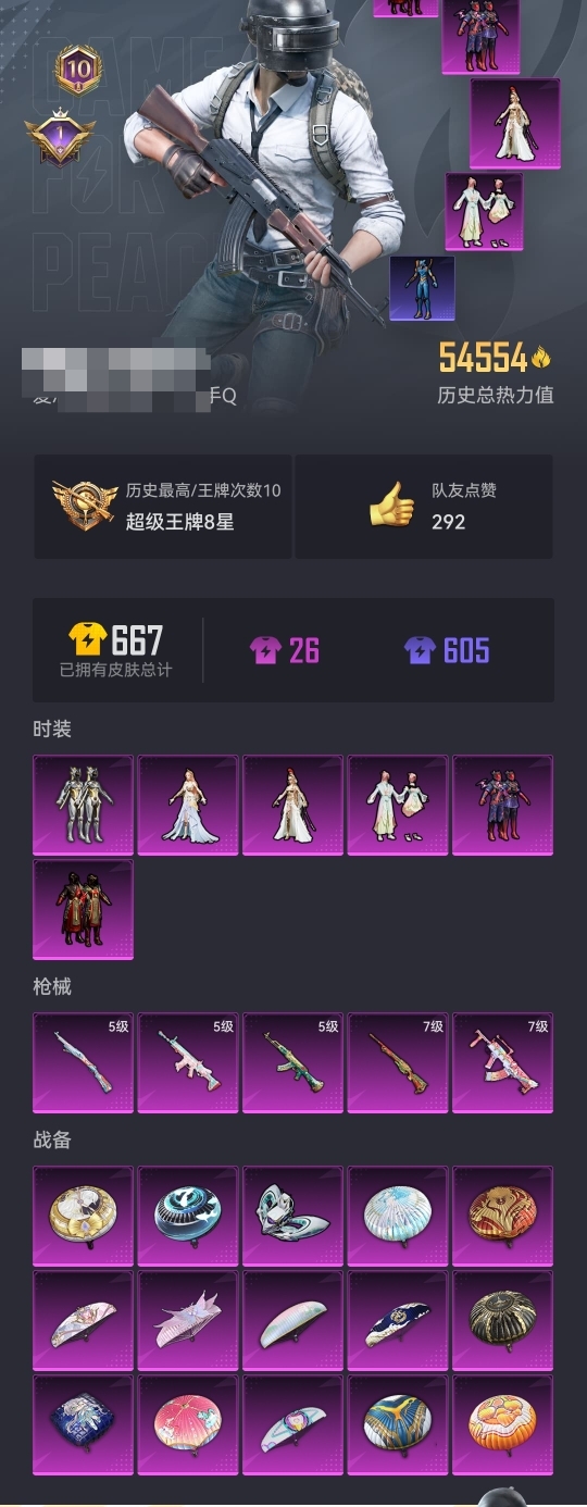 HPCMW3294862和平精英账号详情图11