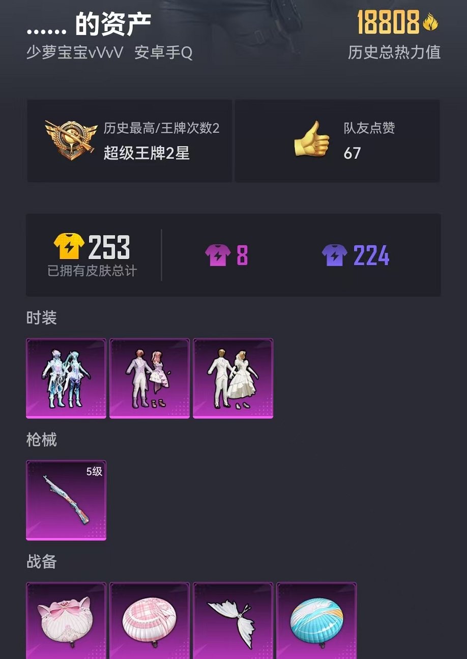 HPCMW3295236和平精英账号详情图16 HPCMW3295236和平精英账号详情图16