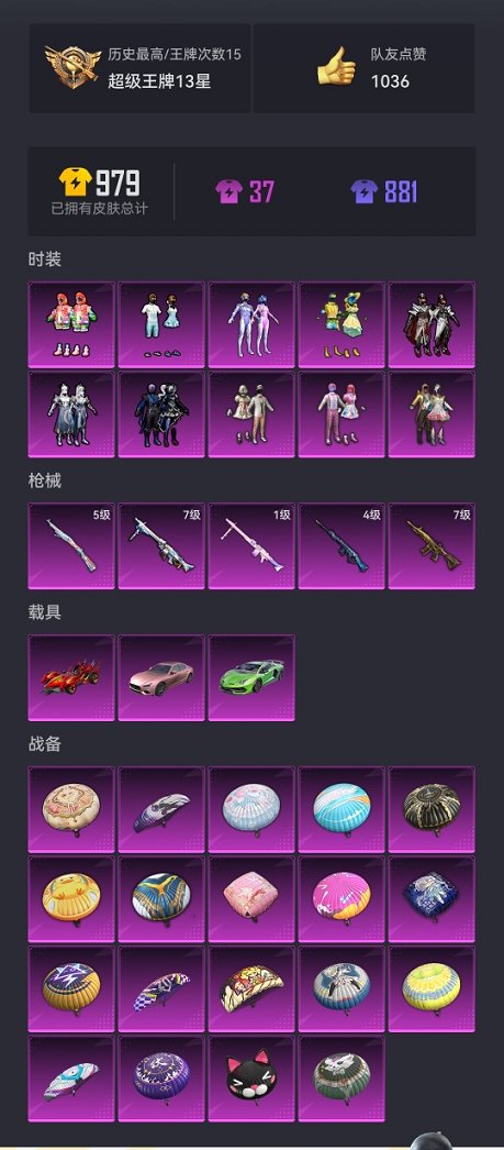HPCMW3297672和平精英账号详情图24 HPCMW3297672和平精英账号详情图24