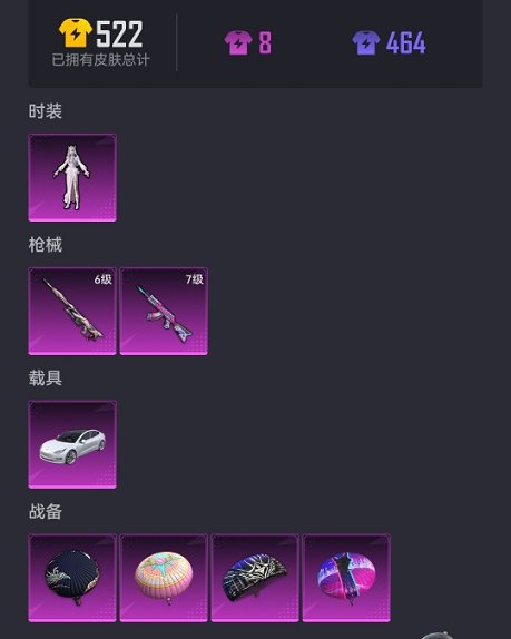 HPCMW3298495和平精英账号详情图20 HPCMW3298495和平精英账号详情图20