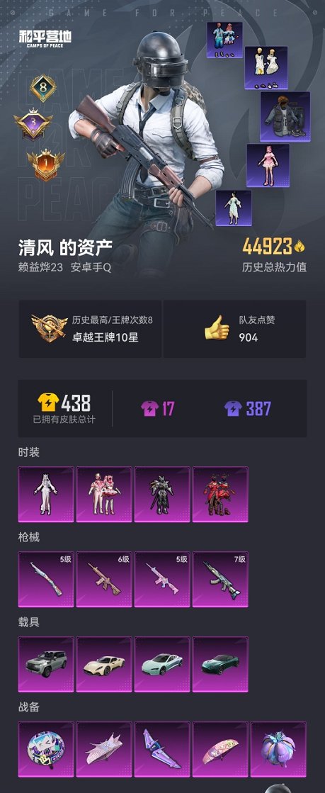 HPCMW3304993和平精英账号详情图14 HPCMW3304993和平精英账号详情图14