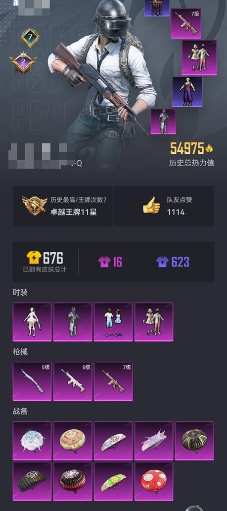 HPCMW3307056和平精英账号详情图10