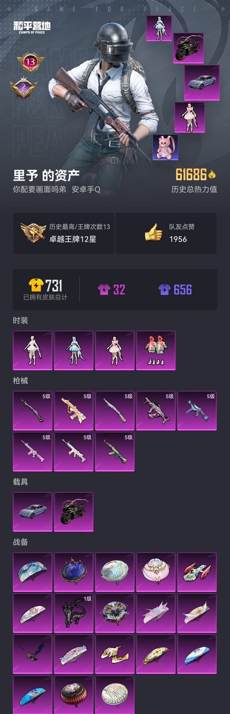 HPCMW3313934和平精英账号详情图18 HPCMW3313934和平精英账号详情图18