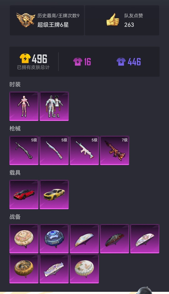 HPCMW3313941和平精英账号详情图19 HPCMW3313941和平精英账号详情图19