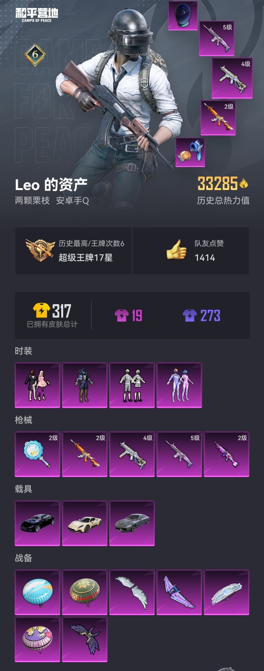 HPCMW3313943和平精英账号详情图15 HPCMW3313943和平精英账号详情图15