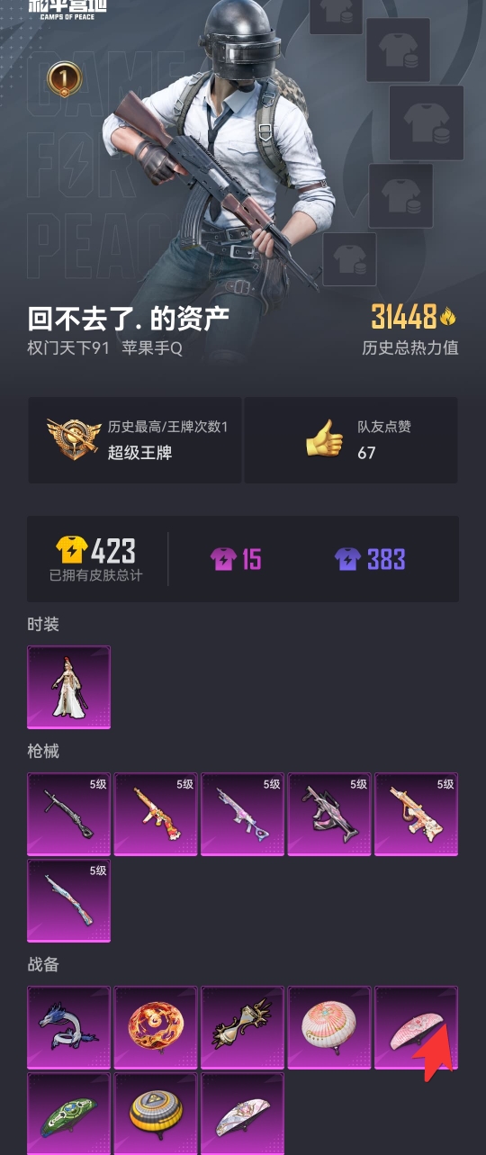 HPCMW3314456和平精英账号详情图13