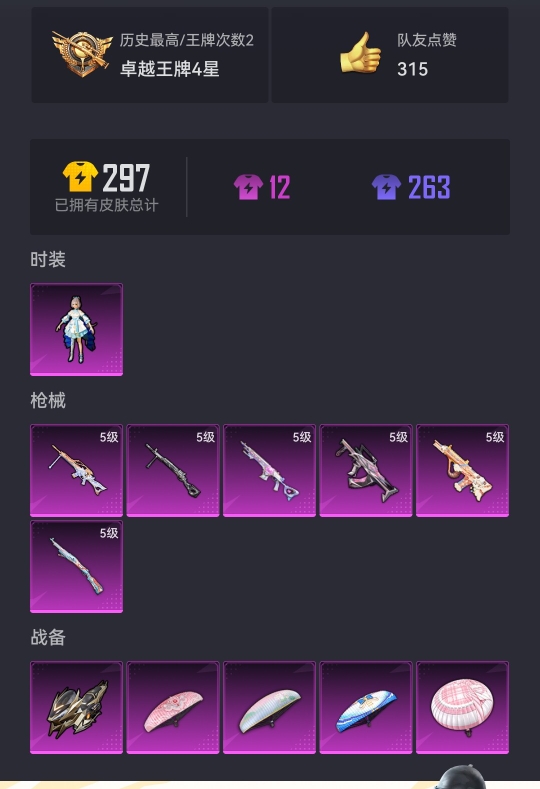 HPCMW3325089和平精英账号详情图16 HPCMW3325089和平精英账号详情图16