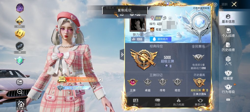 HPCMW3325105和平精英账号详情图12