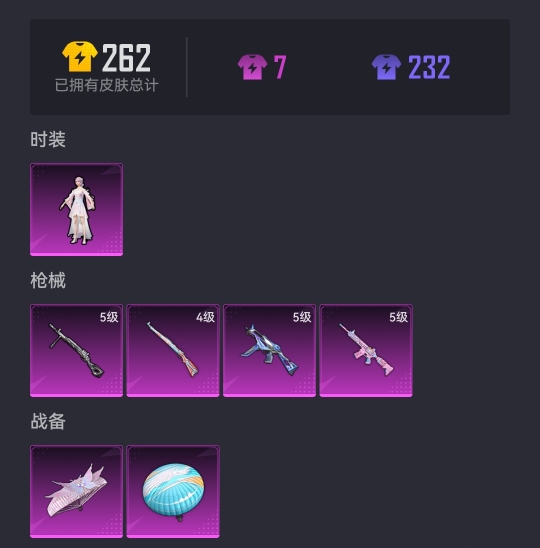 HPCMW3326489和平精英账号详情图12 HPCMW3326489和平精英账号详情图12
