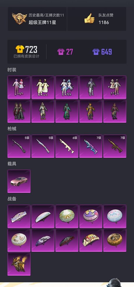 HPCMW3328288和平精英账号详情图19 HPCMW3328288和平精英账号详情图19