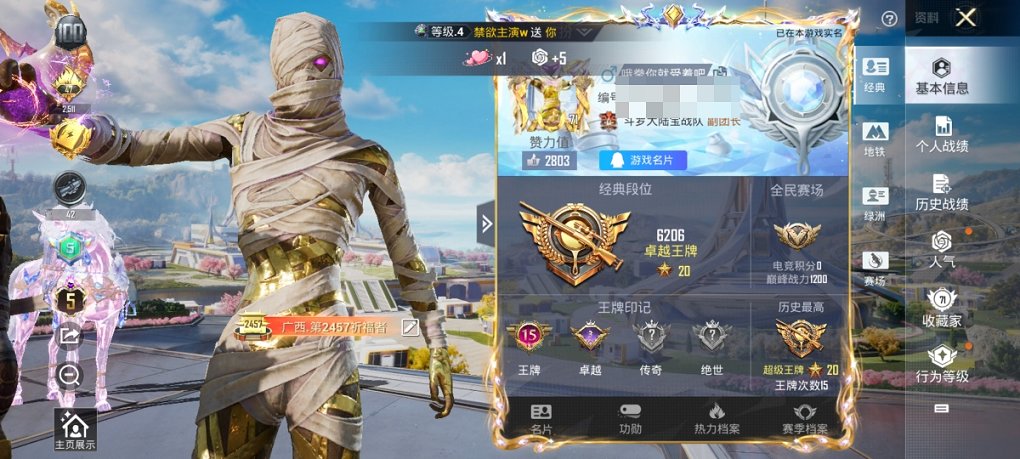HPCMW3329765和平精英账号详情图15