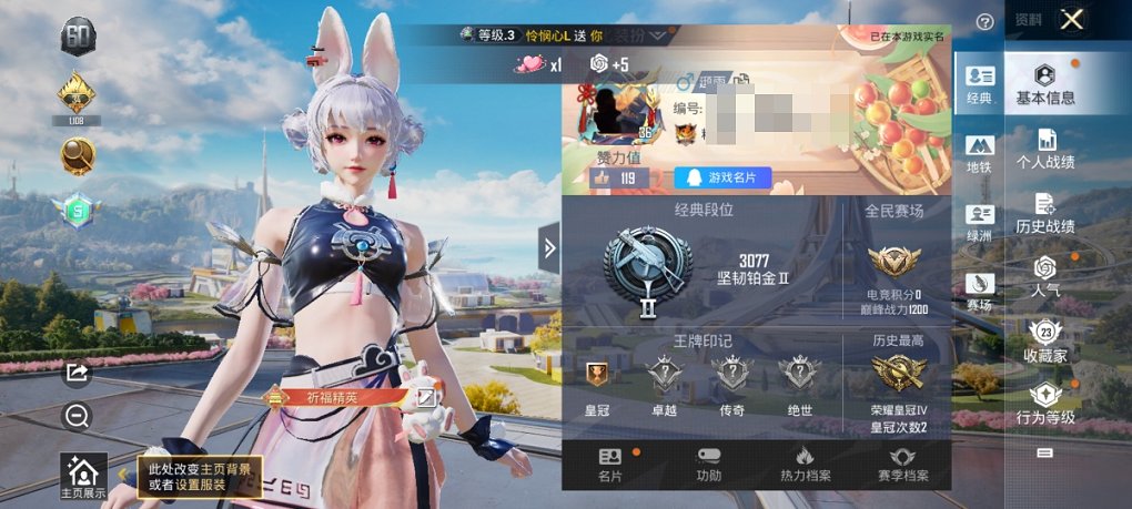 HPCMW3331028和平精英账号详情图5