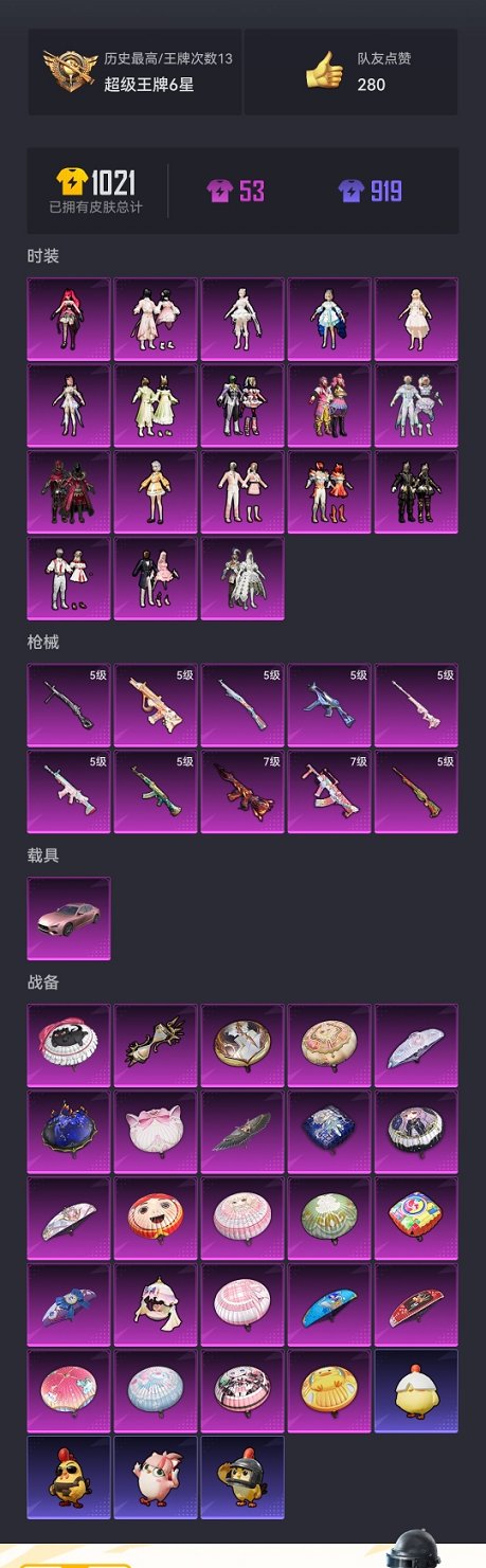 HPCMW3333437和平精英账号详情图25