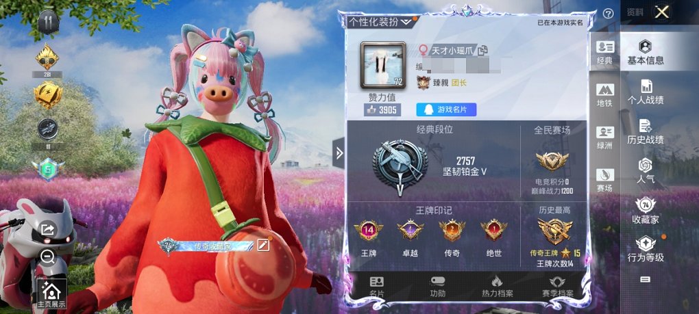 HPCMW3335554和平精英账号详情图13