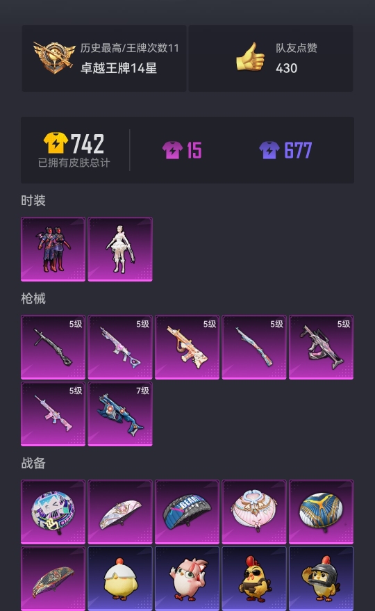 HPCMW3335572和平精英账号详情图14